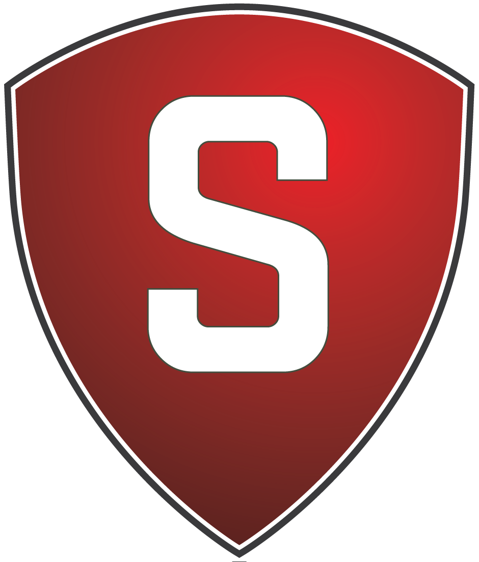 Enterprise Sentry logo
